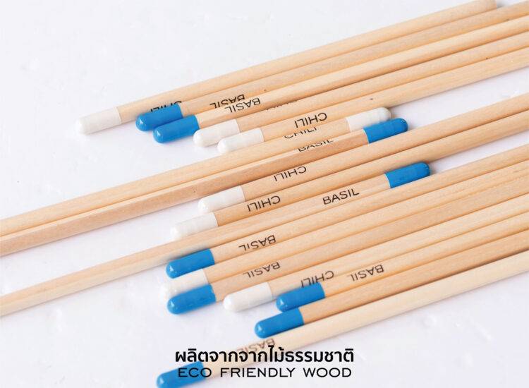 Essential Plantable Pencils With Seeds Ecofriendly Wood
